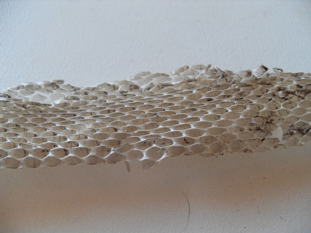 Muta (di biacco vero?)